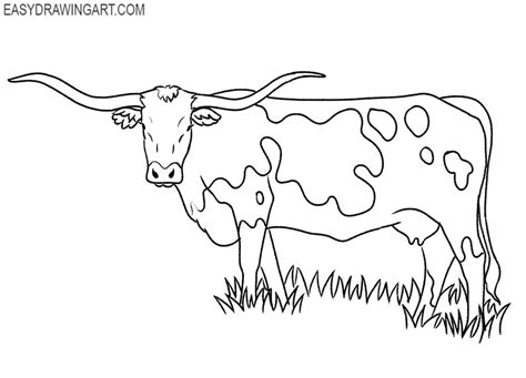 How to Draw a Longhorn - Easy Drawing Art