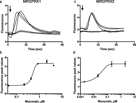 Figure 1 From Mas Related G Protein Coupled Receptors And Cowhage