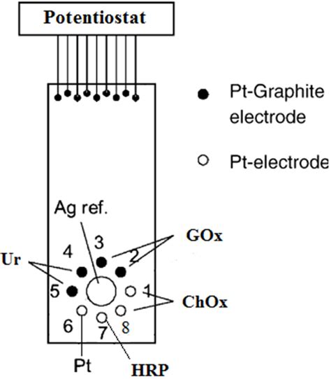 Schematic Diagram Of A Biosensor Array With Immobilized Enzymes