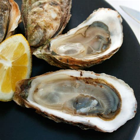 Blue Point Oysters (NY) – Element Seafood