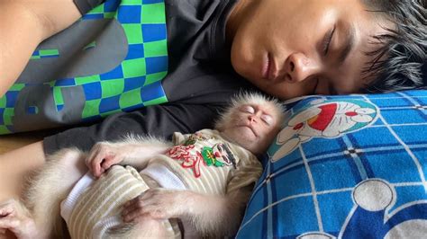 Baby Monkey SinSin And Dad Enjoy A Nap On A Rainy Day YouTube