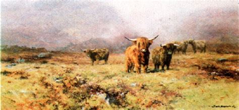 David Shepherd Limited Editions Prints Highland Cattle