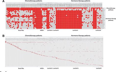 Figure From Companion Diagnostics And Cancer Biomarkers Mutated