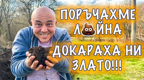 ЖИВОТИНСКИ КОМПОСТ - сложете тази тор в градината си и се пригответе за ...