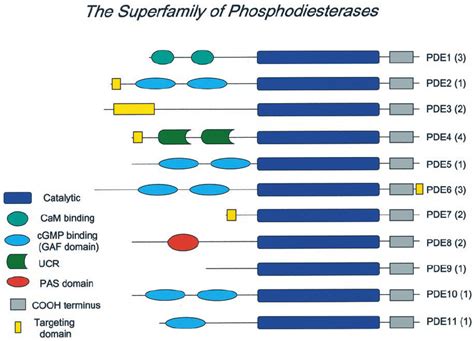 Modular Structure Of The PDEs Schematic Representation Of The Domain