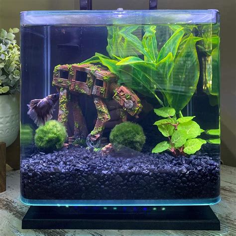 Sci Fi Cantina Fish Tank From Star Wars Atelier Yuwa Ciao Jp