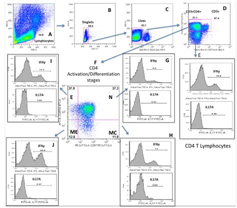 Dot Plots Represent The Flow Cytometry Gating Strategy And Histograms