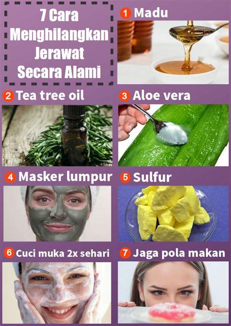 Cara Menghilangkan Jerawat Secara Alami Yang Cepat Dan Ampuh