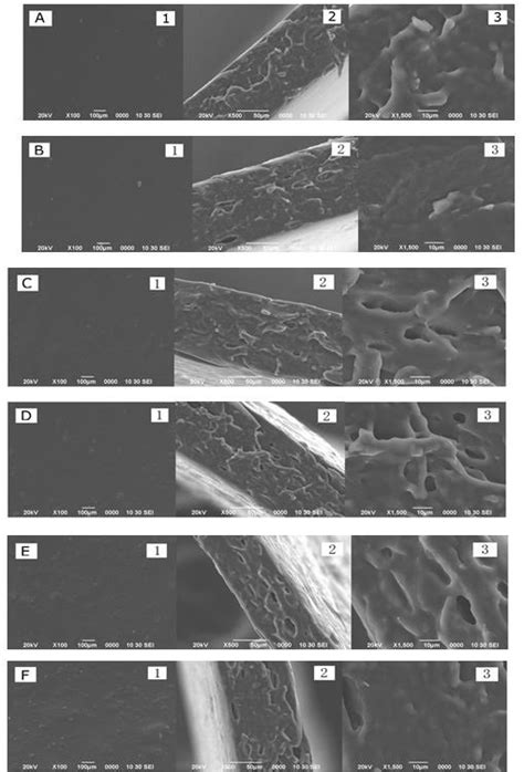 Sem Micrographs Of The Surface Left Column 100× And Cross Section Download Scientific