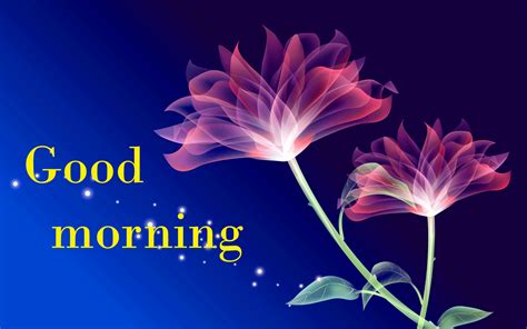 13 Good Morning 3d Flower Images Hutomo