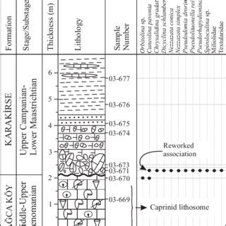 Stratigraphic Distribution Of Microfossils Within The Sarp Dere Section