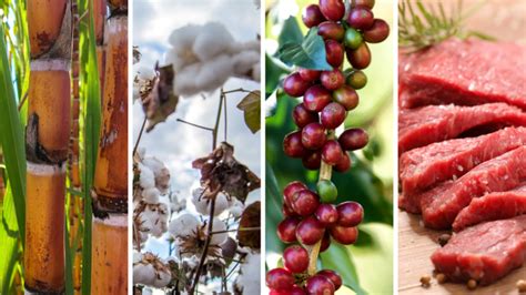 Exporta Es Do Agro Batem Novo Recorde Para O M S De Fevereiro E