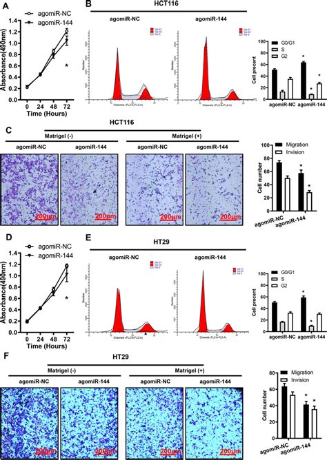 Mir‑144 Influences Crc Cell Proliferation Cell Cycle Migration And