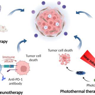 Nano Drug Delivery Systems Mediated Synergistic Anticancer Therapy