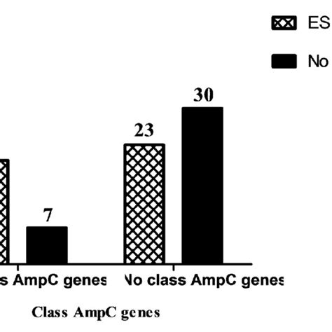 Distribution Of Extended Spectrum β Lactamases Esbls And Class C Download Scientific Diagram