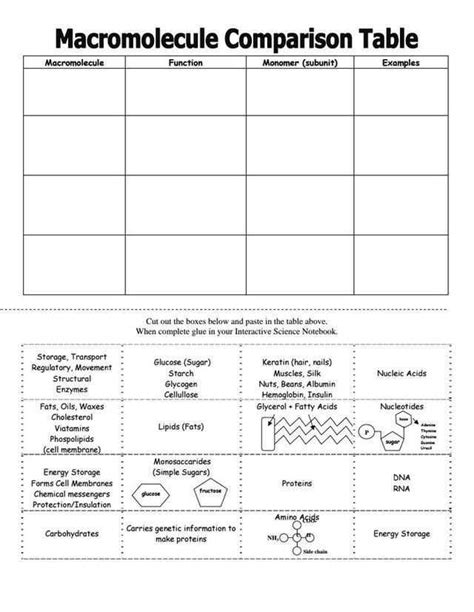 A Comprehensive Guide To Understanding Organic Compounds Visualizing