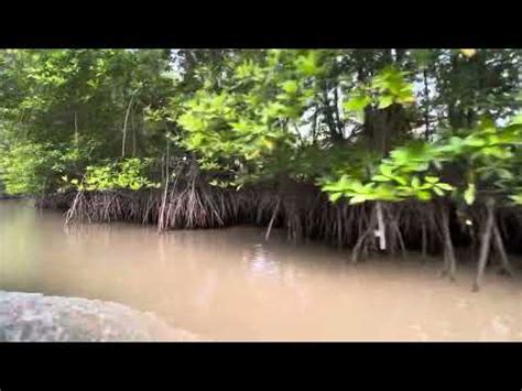 My Vietnam Vietnam Nature Beautiful Traveling Myvietnam YouTube