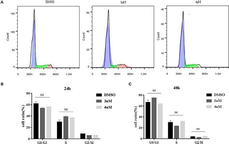 Frontiers Generation Of Transgenic Cloned Buffalo Embryos Harboring