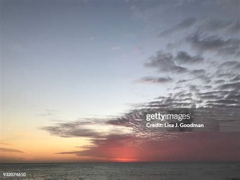 239 Sanibel Island Sunset Stock Photos, High-Res Pictures, and Images ...