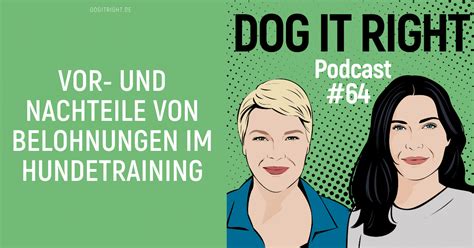 Vor Und Nachteile Von Belohnungen Im Hundetraining