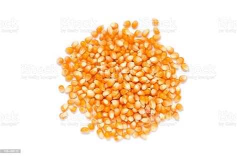 Top View Of Dry Organic Corn Seed Pile On White Background For Healthy