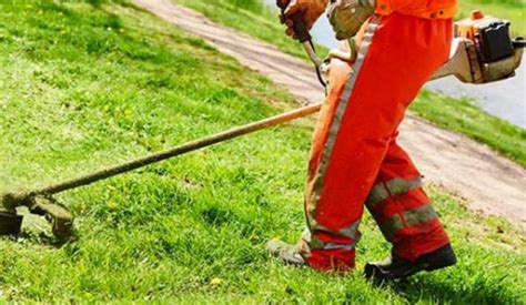 Precisazioni Sulla Raccolta Di Organico E Sfalci Dei Giardini