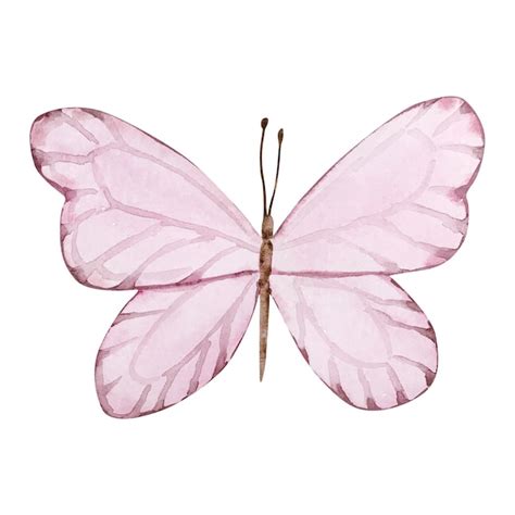 Aquarela Borboleta Rosa Para Design De Convites Vetor Premium