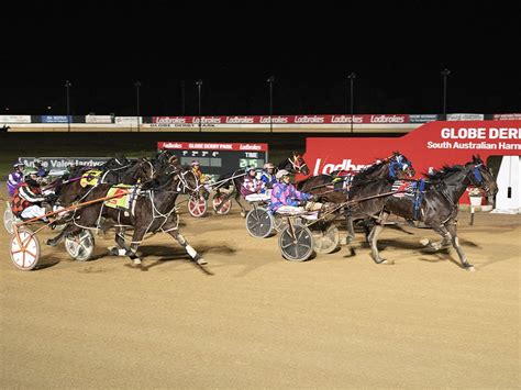 Sa Trots Promising Pacers In The Emerging Stars Final Harness Racing Sa