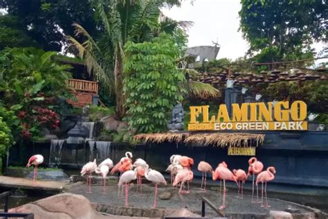 Bukan Hanya Wisata Edukatif Eco Green Park Kota Batu Menawarkan Wahana