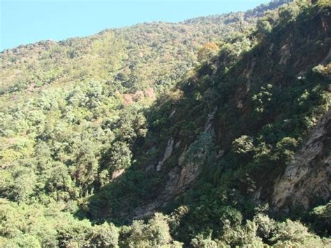 Nepal: Forests in Nepal