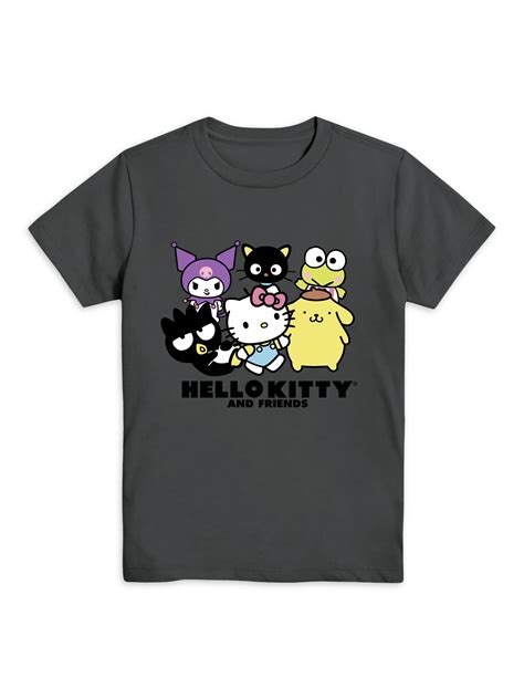 Sanrio Boys Hello Kitty Hola Gato, Crew Neck, Short Sleeve, Graphic T ...