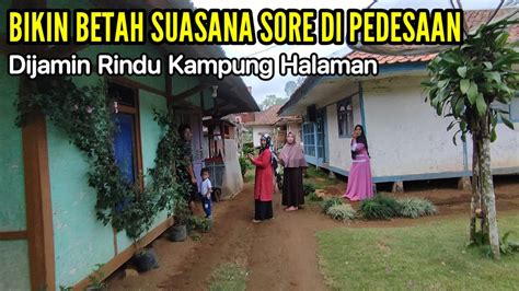 BIKIN BETAH Suasana Sore Di Pedesaan Kampung Yang Indah Sejuk Di