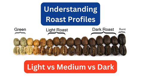 How To Choose The Best Roast For Your Coffee Light Medium Or Dark