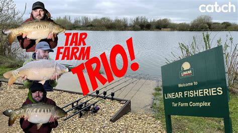 Tar Farm Trio Hrs At Linear Fisheries Tar Farm Complex