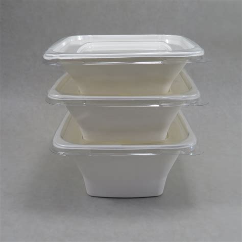 Geotegrity Biodegradable Take Away Disposable Eco Friendly Square