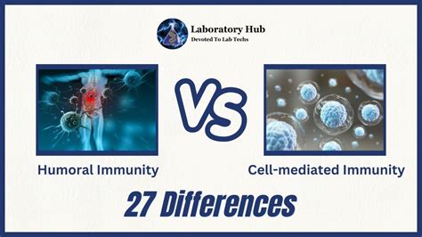 Differences Humoral Vs Cell Mediated Immunity Laboratory Hub