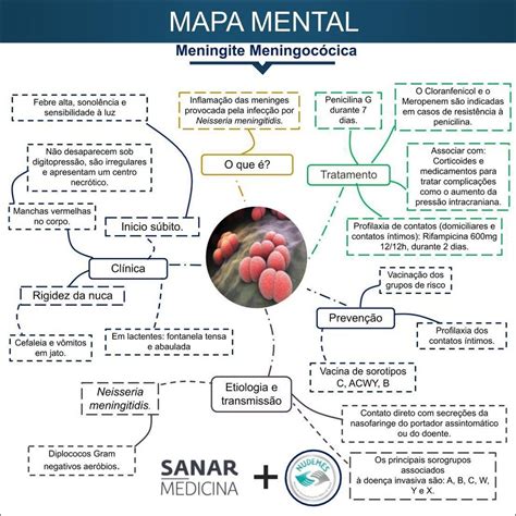 Mapas Mentais Sobre Meningite Study Maps