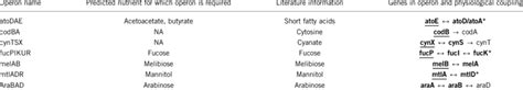 Some Operons Containing Horizontally Transferred Genes With