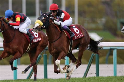 【チューリップ賞】武豊スウィープフィートが鮮やかな差し切り桜花賞への権利獲得（競馬のおはなし）｜dメニューニュース（nttドコモ）