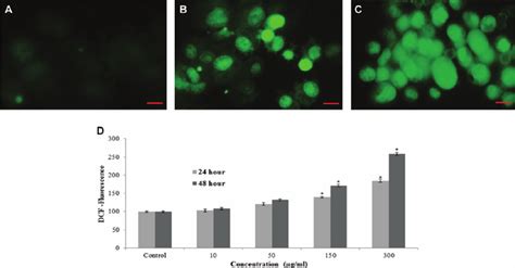 Mwcnts Induced Ros In L929 Cells A Control B At 300 M Gml Of