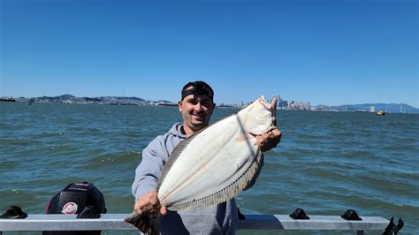 San Francisco Bay Halibut Fishing Youtube