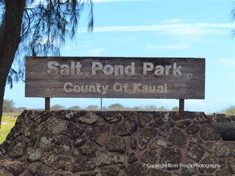 Salt Pond Beach Park Boss Frogs Snorkel Bike And Beach Rentals