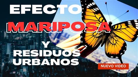 El Efecto Mariposa En La Reducci N Y Gesti N De Residuos Youtube