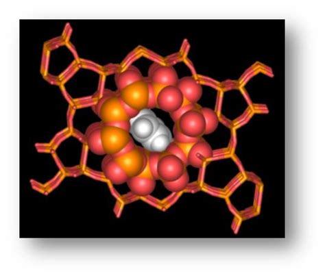 Zeolite Nanoporous Catalyst Image Eurekalert Science News Releases