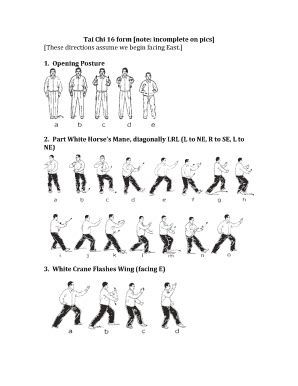 Tai Chi 16 Form Yang Style PDF AirSlate SignNow