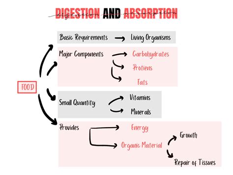 SOLUTION: Digestion and absorption 2 - Studypool