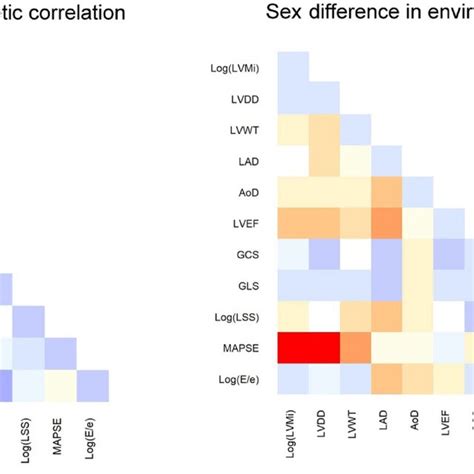 Sex Specific Geneticenvironmental Correlations Among Echocardiographic Download Scientific