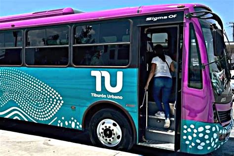 Nuevas rutas de Transporte Público en La Paz atenderán hasta las 22 30