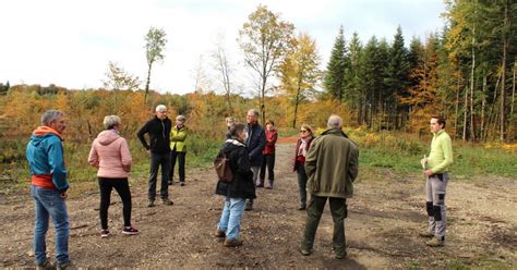 Dampierre les Bois Conseil municipal Les travaux forestiers examinés