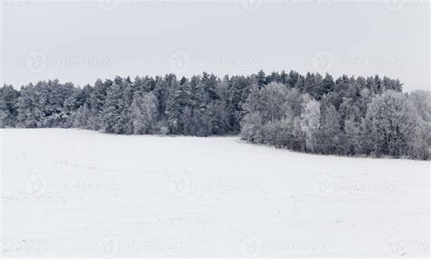 Winter landscape with forest 9493502 Stock Photo at Vecteezy